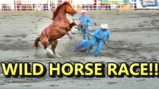 WILD HORSE RACE!!  CRAZY!!