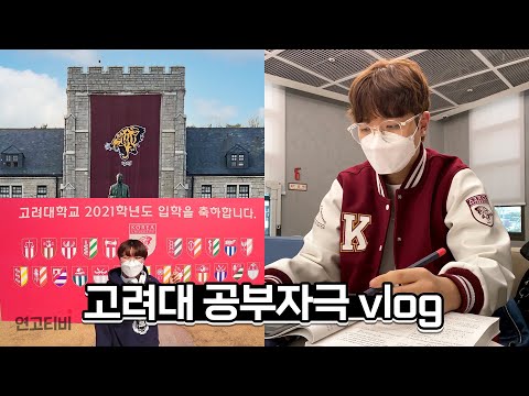 [B대면 캠퍼스투어] 고려대생의 <strong>안암</strong> vlog 🐯 | 연고티비