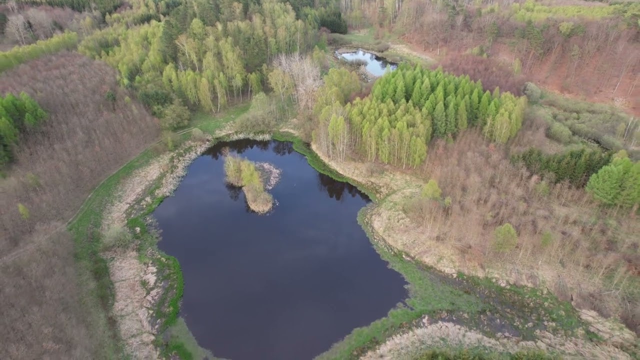 Pomorzany - Zakrzyce, kompleks porolnych młodników w Nadleśnictwie Łobez