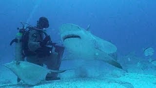 Marine Life Conservation & Eco-Tourism
