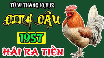 Tháng 10,11,12 ÂL HUNG TINH ẬP ĐẾN Tuổi Đinh Dậu 1957 Tránh Hoạ Đón Phúc Đổi Đời Giàu To.