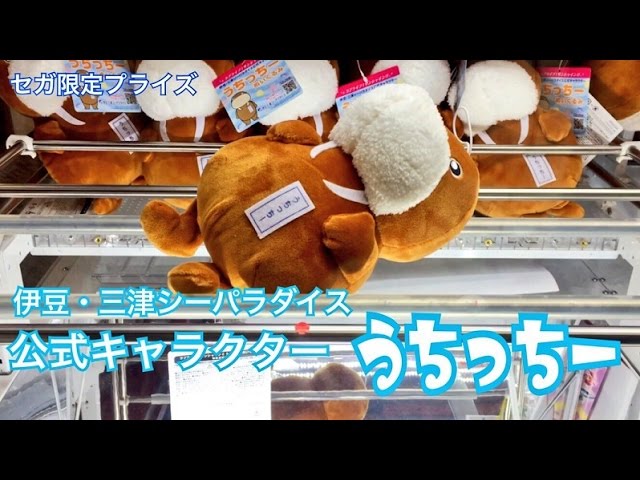 みとシーから全国デビュー！うちっちー UFOキャッチャー☆ラブライブ