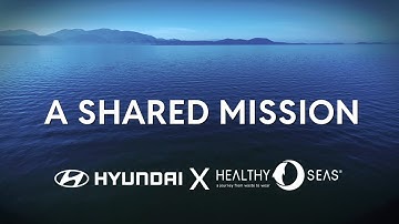 One Ocean, One Mission: Five Years of Action for Marine Protection