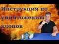 Как избавиться от клопов самому. Полная инструкция