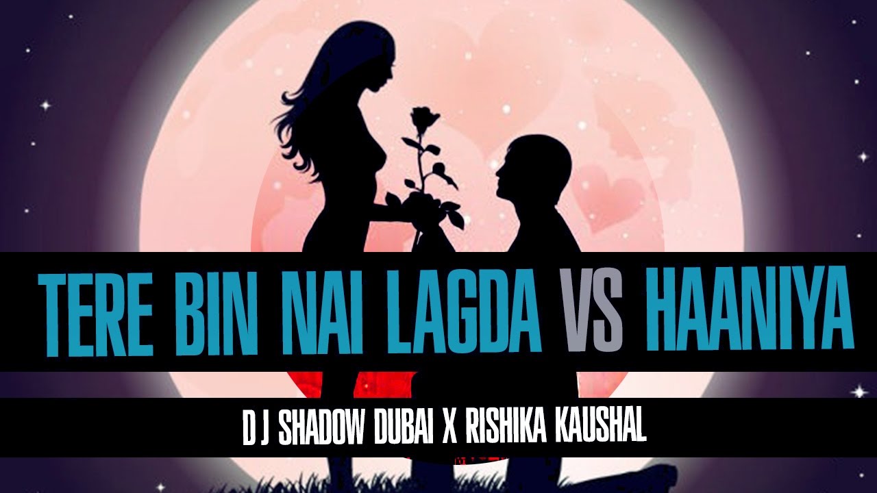 Tere Bin Nai Lagda Dil Mera vs Haaniya | DJ Shadow Dubai X Rishika Kaushal