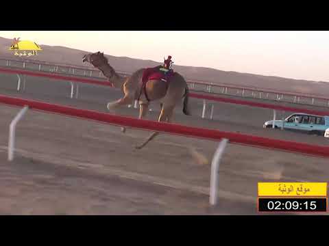 الشوط 2 كارتير ل حميد بن مطوع بن مشعاب الظاهري 4 43 شارة الاتحاد 2020 3 11 الجبيب حقايق