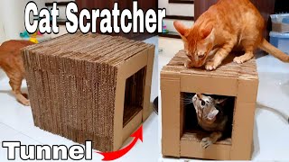 HOW TO MAKE CAT SCRATCHER FOR FREE!!! [Tunnel]