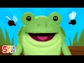 Five little speckled frogs featuring frog puppets  kids song  super simple songs