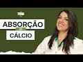 Como melhorar a absorção de cálcio? #osteoporose