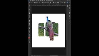 Photoshop 2026 Tips - How to Edit Image with Clipping Mask Tool | Desinity #illustrator #shorts