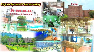 Regional Museum Of Natural History || RMNH || Bhubaneswar || Acharya Bihar || Near Ocac Tower Place