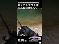 ルアーフィッシング好きにはたまらない瞬間④ 【エリアミノーイング】 #エリアトラウト #fishing #shorts