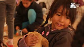 HISTORIAS DE FESTIVAL - Festival de la Puna - Antofagasta de la Sierra, Catamarca