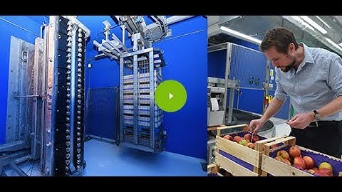 Dose mapping on an apple pallet at Feerix, France