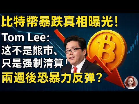 比特幣暴跌真相曝光！Tom Lee：這不是熊市，只是強制清算！兩週後恐暴力反彈？ #crypto #btc #eth #Tom Lee#CNBC