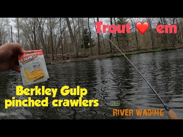 New Jersey Trout fishing Berkley Gulp pinched crawlers River wading + Bonus  pink trout magnet catch 