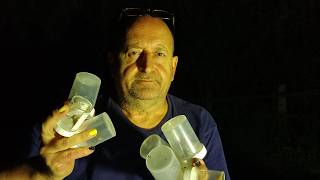 Moth trapping - Misson Carr September 22nd 2026