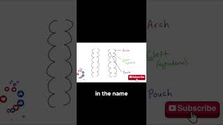 USMLE Step 1 High Yield | First Aid Rapid Review Facts You Must Know