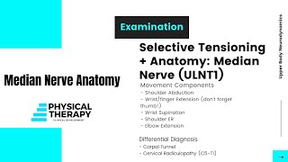 Neurodynamics of Upper Limb