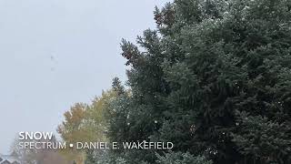 Daniel E. Wakefield - Snow