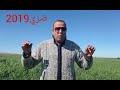 ضري 2019 فركع الرمانة براف ضري عاش الملك