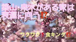 築山・泉水のある家は衰運に向う⁉️