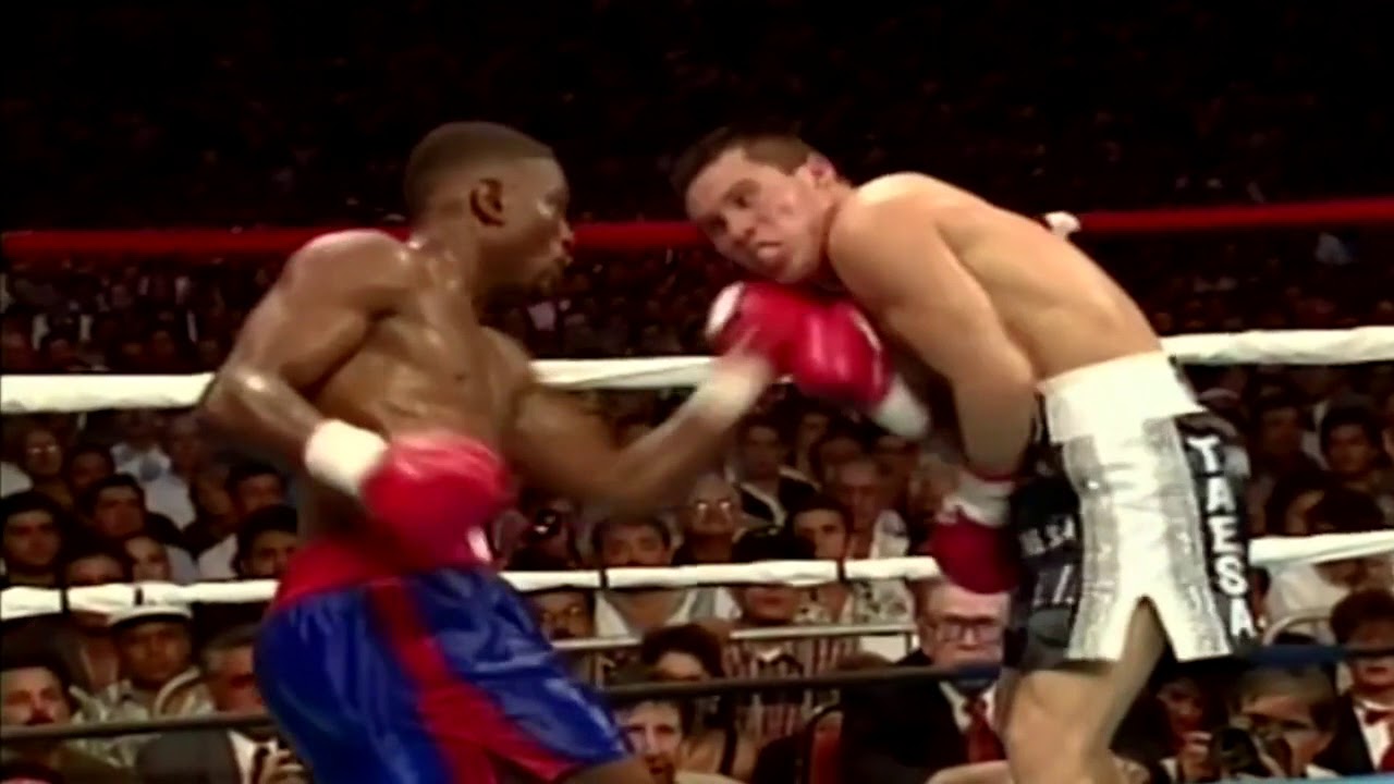 Pernell "Sweet pea" Whitaker vs. Julio César Chávez