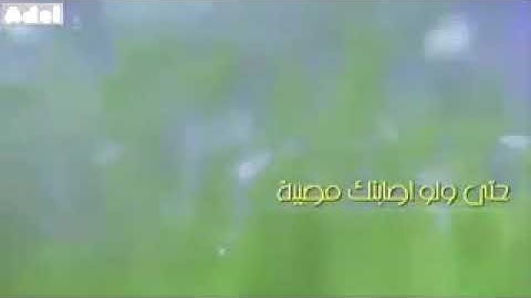 مادمت تقرأ الأذكار ابشر بكل خير... محمد الشنقيطي