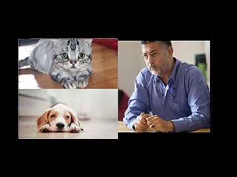 فيديو: الشعور بأطعمة الحمية للقطط والكلاب ، الجزء الثاني