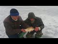 Зимова ловля карася на Дніпрі с.Світлогірське, Winter fishing of crucian on the Dnieper