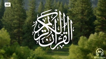 قرآن كريم بصوت رعد الكردي | حالات واتس اب دينية - سورة طه