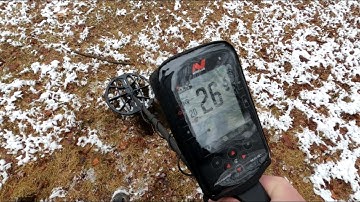 Minelab Manticore & XP Deus 2 Comparing Signals