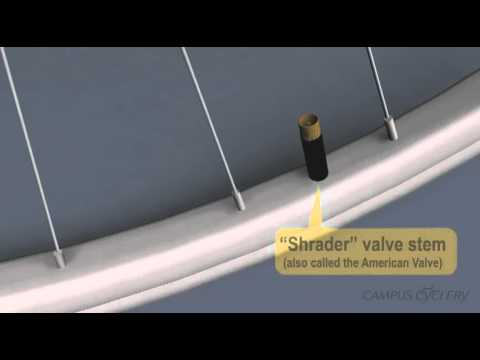 types of bicycle valve stems