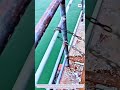 Genius Way to Remove Old Paint Using a Chain!