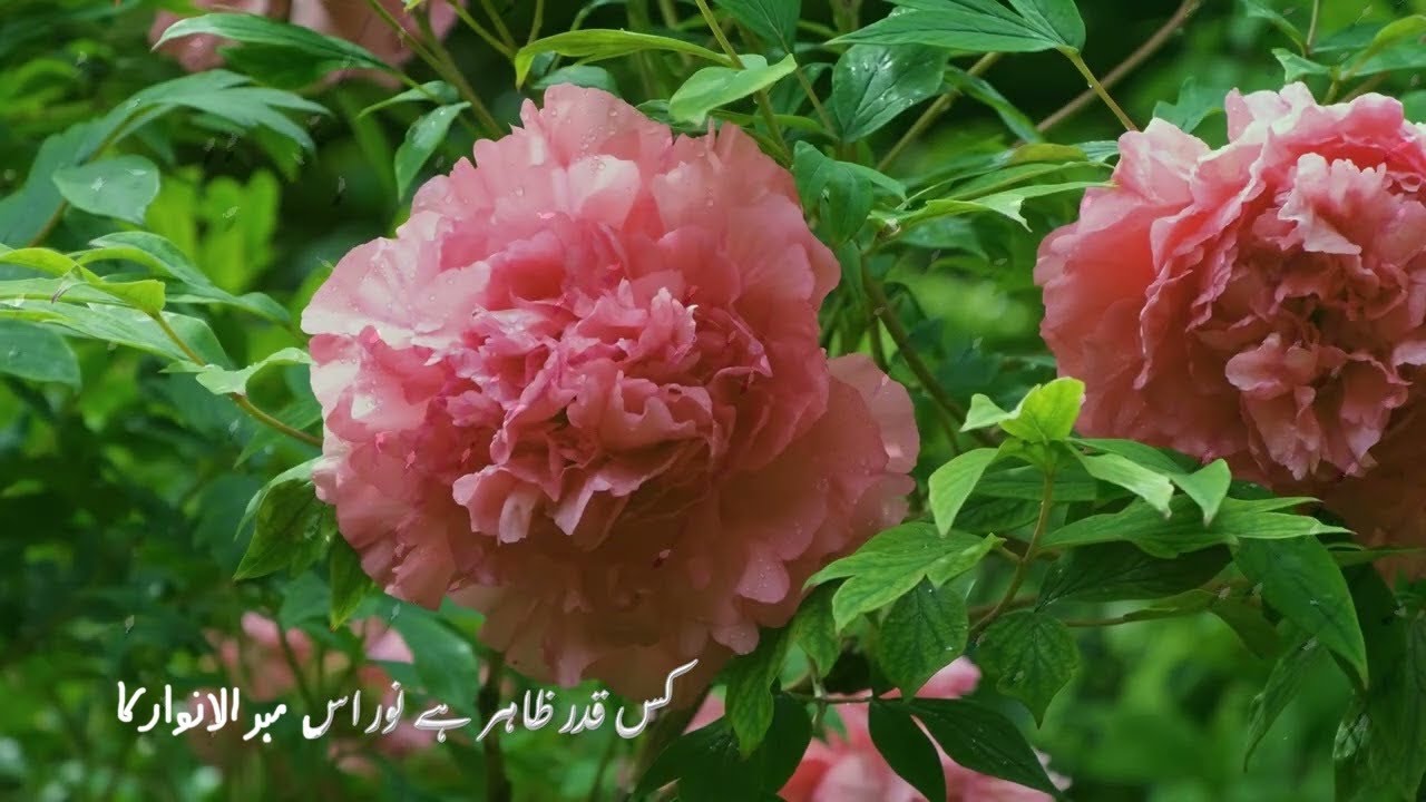 Kis Qadar Zahir he Noor کس قدر ظاہر ہے نور اس مبدا الانوار کا Nazm Durre Sameen