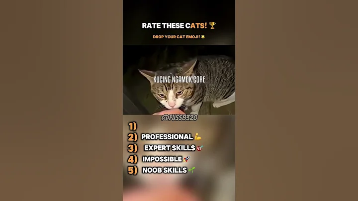 Video 11855361: cat cutecat funny, cat cute pets, funny cats cute funniest