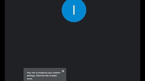 Your mic is muted by your system settings - 100% Resolved