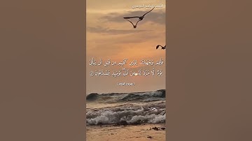 سورة الروم من  آية 42 إلى آية 45 بصوت الشيخ ياسر الدوسري♥♥
