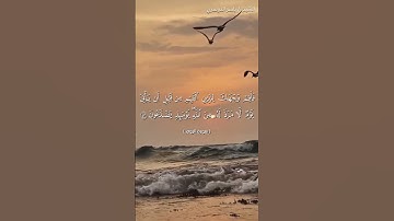 سورة الروم من  آية 42 إلى آية 45 بصوت الشيخ ياسر الدوسري♥♥