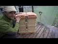 APIMAYE ergo plus hive ~ Most Detailed review~ BEST beginners hive.