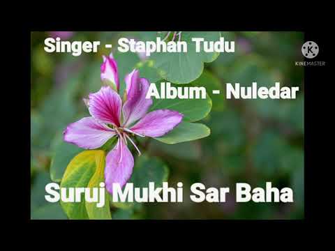 Suruj Mukhi Sar Baha Juwan Aam Gi  Singer   Staphan Tudu Santali Old Is Gold Song 2021