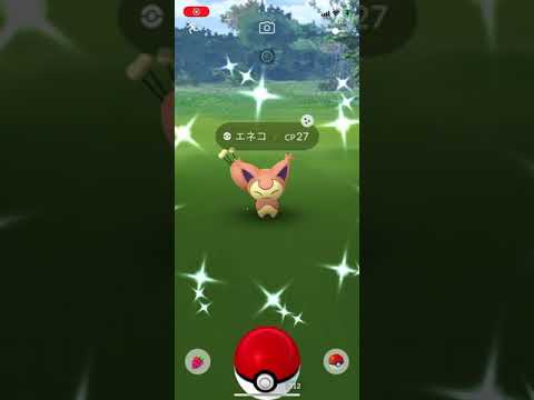 ポケモンgo 色違いエネコ出現 色違いエネコロロへ進化 Youtube