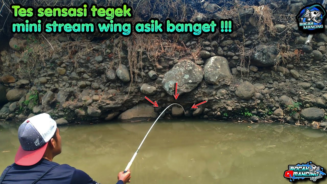 Tes Joran Tegek Mini Stream wing Untuk mancing Wader || Tenkara mini stream wing