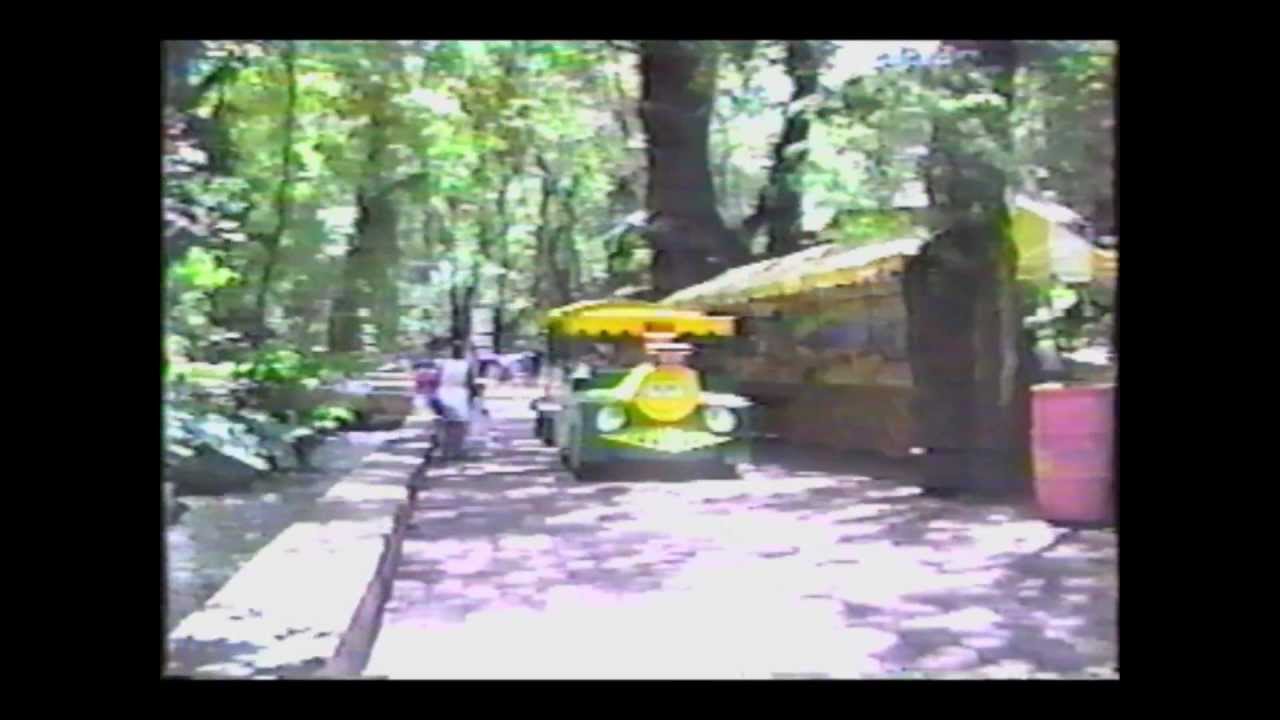 Parque De Bolas La Jungla Magica