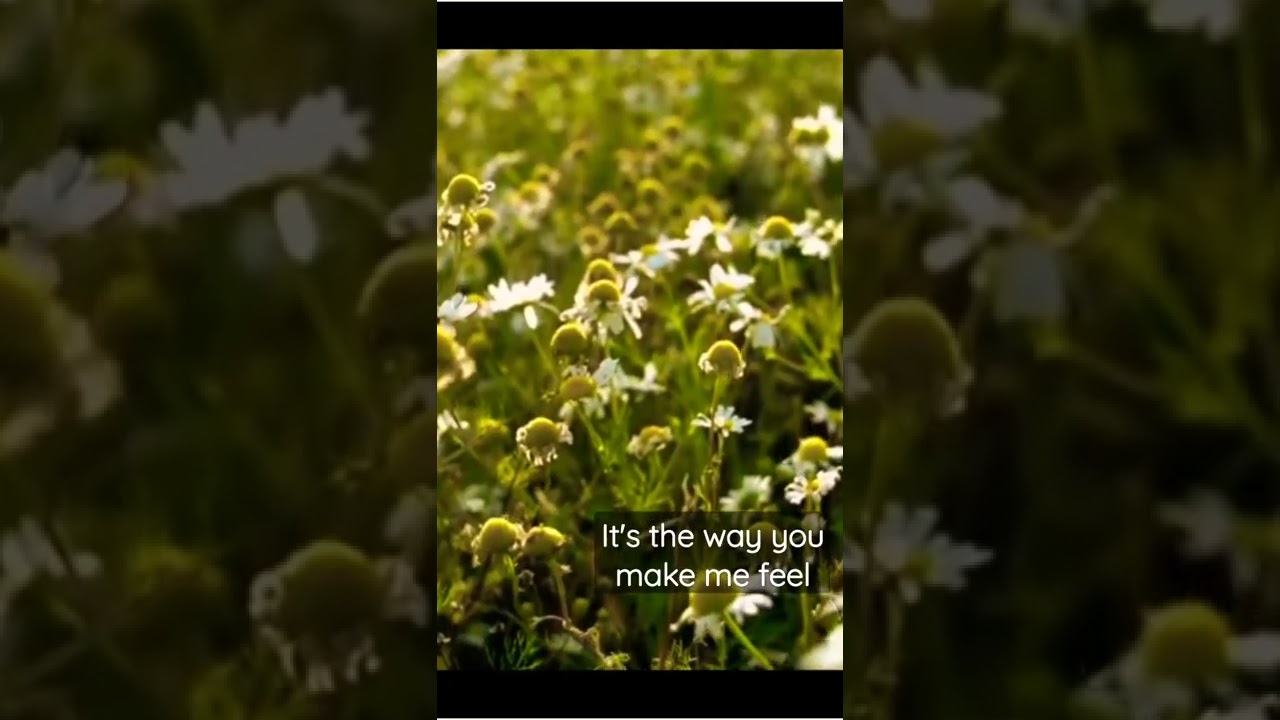 when it comes to love..nothing can stop you 🥰