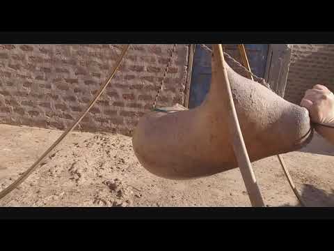 خض البن بالقربة كامل