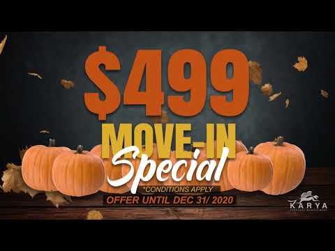 Dorel Laredo October Specials