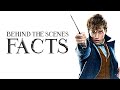 10 Behind the Scenes Facts about Fantastic Beasts The Crimes of Grindelwald