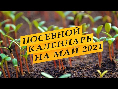 Лунный посевной календарь садовода-огородника на май 2021 года. Лунный посевной календарь садовода-огородника на май 2021 года.