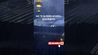 Te Gusta La Lluvia En Techo De Chapa? Esto Es Para Vos!